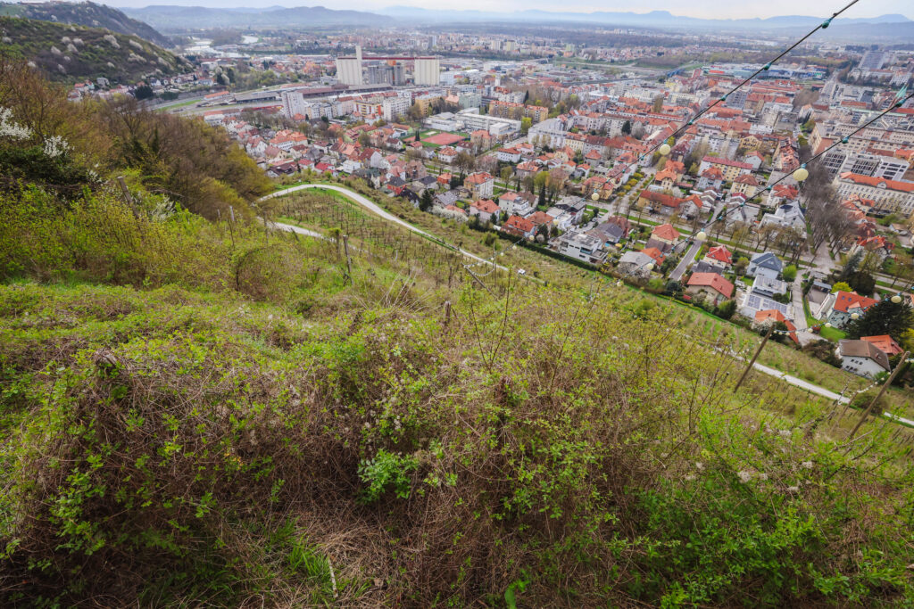 jhmb_piramida_dela_nigrad_2025_04_07_20250407-MAVA6365170_foto_mv_pigac_si