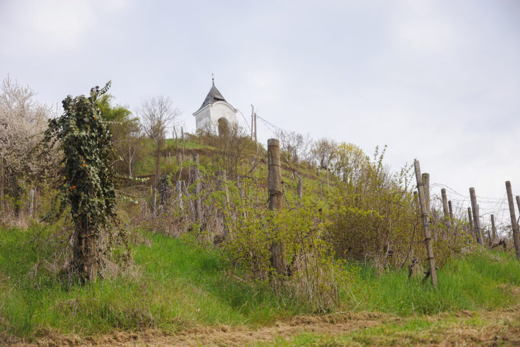 jhmb_piramida_dela_nigrad_2025_04_07_20250407-MAVA6409214_foto_mv_pigac_si